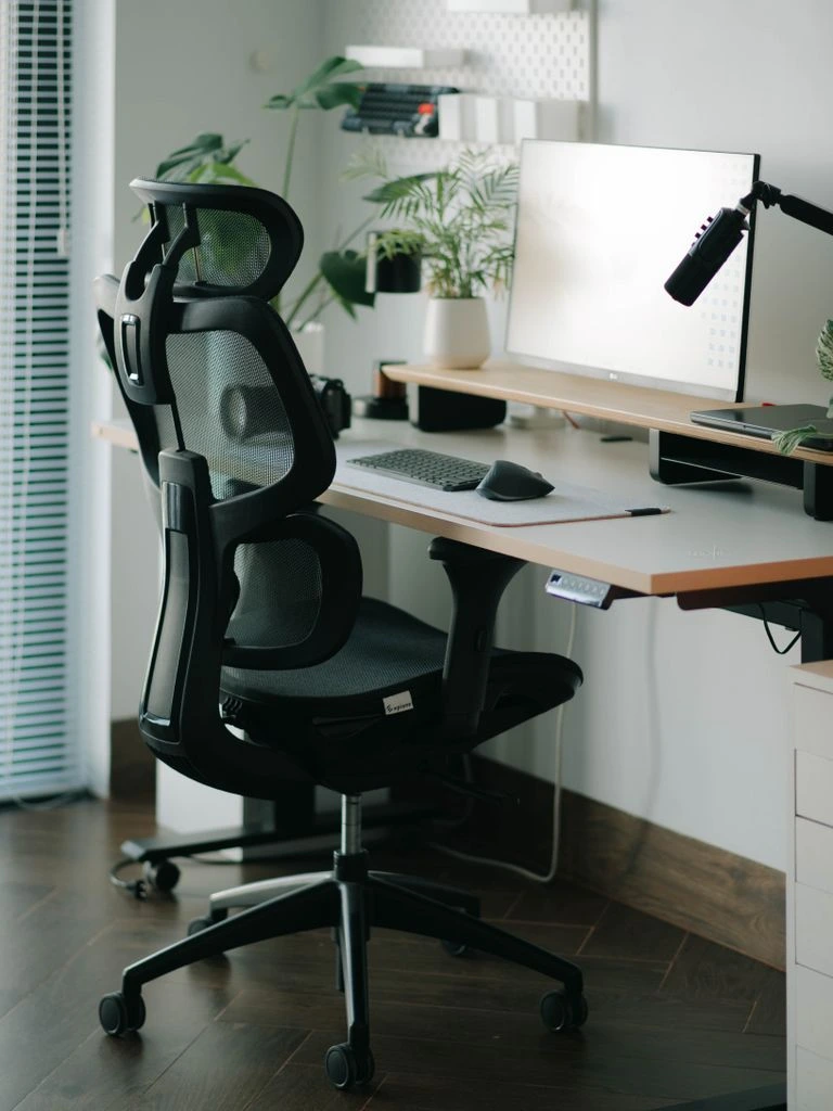 Mesh ergonomic chair for the top reviewed entry